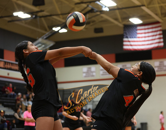 ZMS78VB_R3__0060.jpg