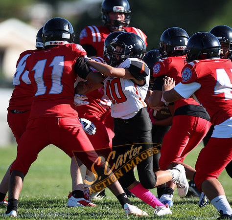 ZMSFB8_WV_R32_0040.jpg