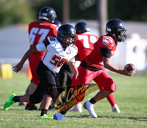 ZMSFB8_WV_R32_0088.jpg
