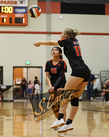 ZMS78VB_R3__0335.jpg