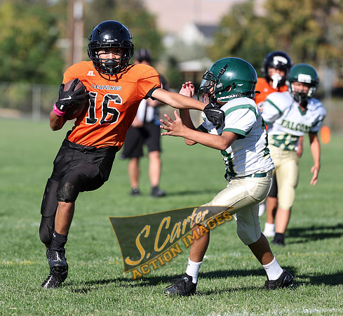 ZMS7FB_SV_R3__0031.jpg
