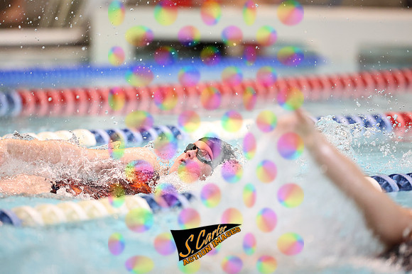 ZHSGSW_R3__0805.jpg
