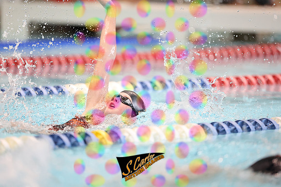 ZHSGSW_R3__0812.jpg