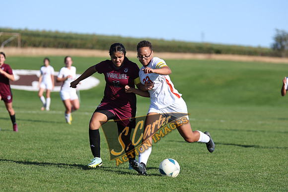 ZHSGS@Wahluke_R3__1157.jpg