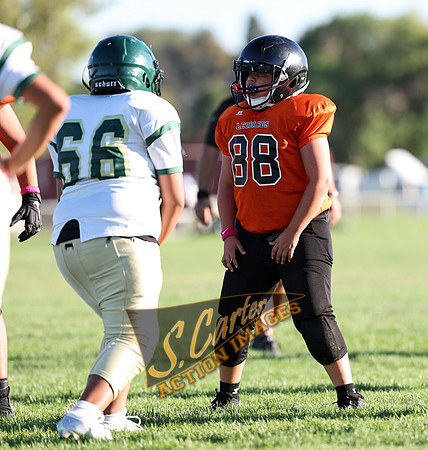 ZMS7FB_SV_R3__0310.jpg