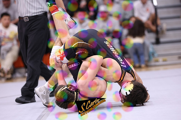 ZHSWR_Home_R3__1200.jpg
