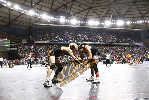 MatClassic_1DX30086.jpg