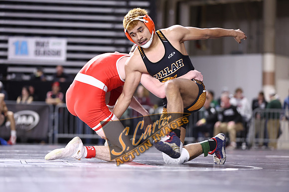 MatClassic_R3__0916.jpg
