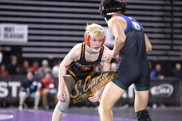 MatClassic_R3__0494.jpg