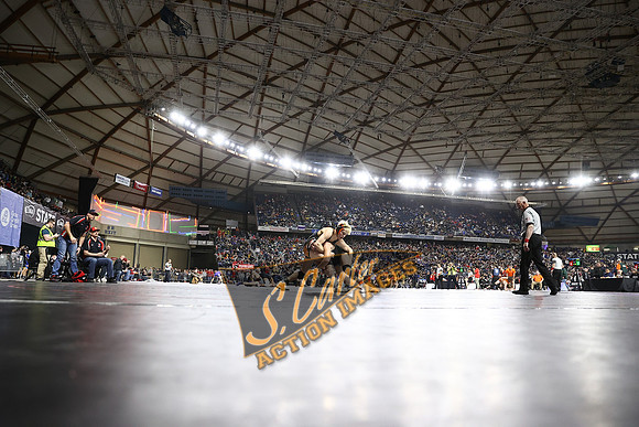MatClassic_1DX30100.jpg