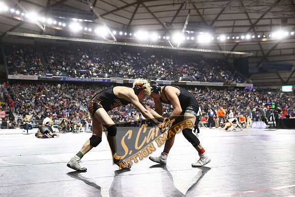 MatClassic_1DX30077.jpg