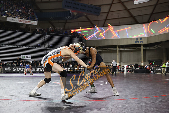 MatClassicD2_1DX30059.jpg