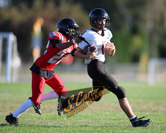 ZMSFB8_WV_R32_0912.jpg