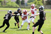 YW6_Boise_R3__1760.jpg