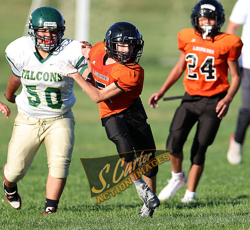 ZMS7FB_SV_R32_0361.jpg