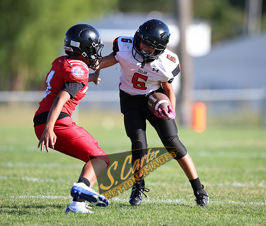 ZMSFB8_WV_R32_0300.jpg