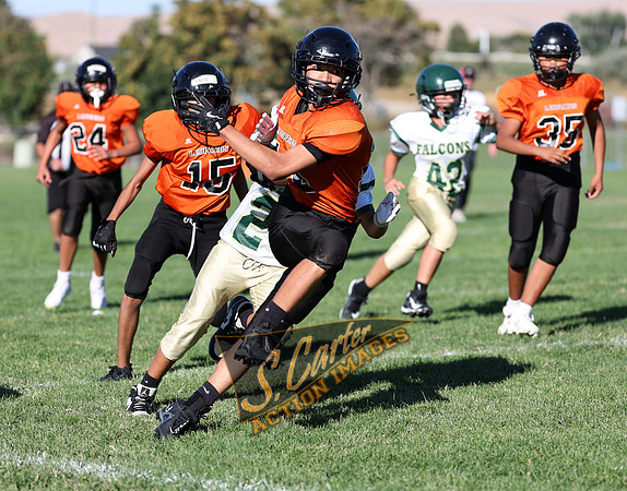 ZMS7FB_SV_R3__0043.jpg