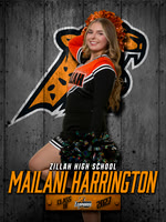 Senior Banners