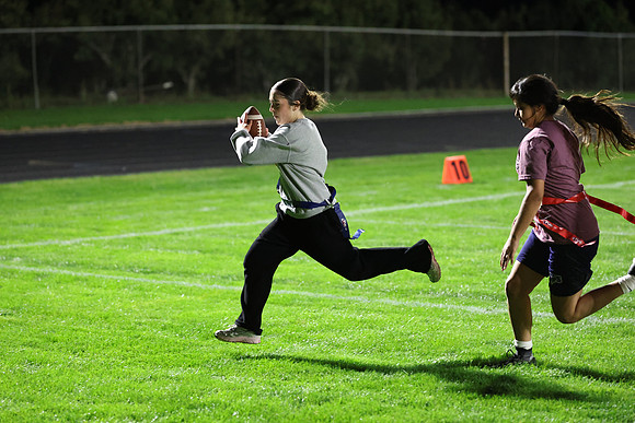 Powderpuff_R3__0981.jpg
