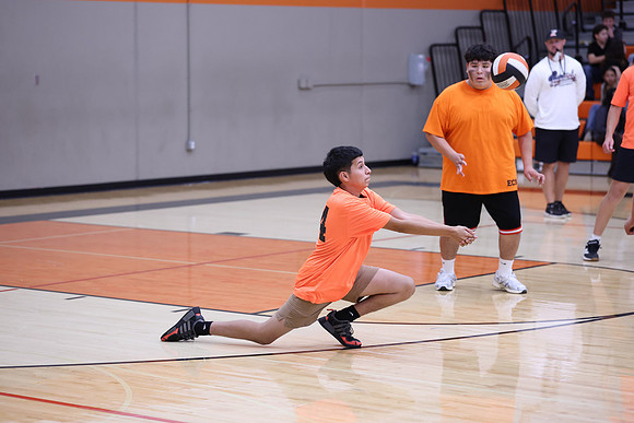 MachoVB_R32_0248.jpg