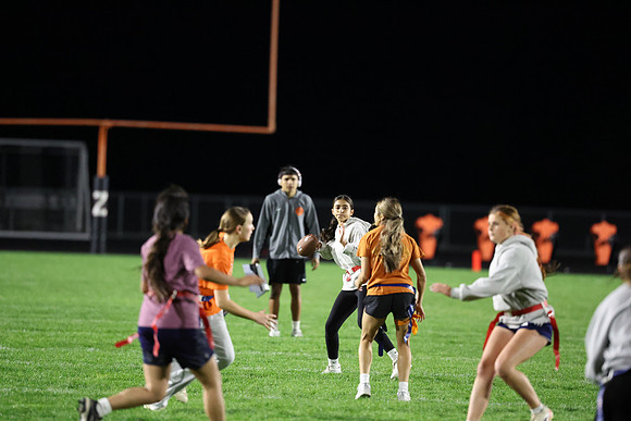 Powderpuff_R3__1001.jpg