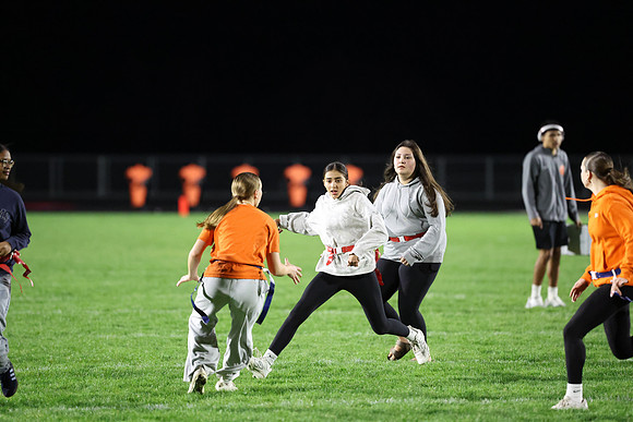 Powderpuff_R3__1023.jpg