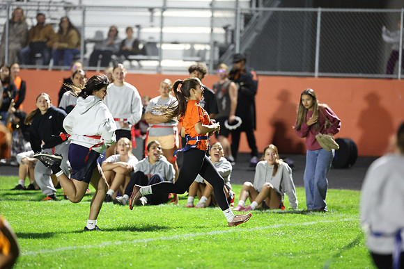 Powderpuff_R3__0581.jpg