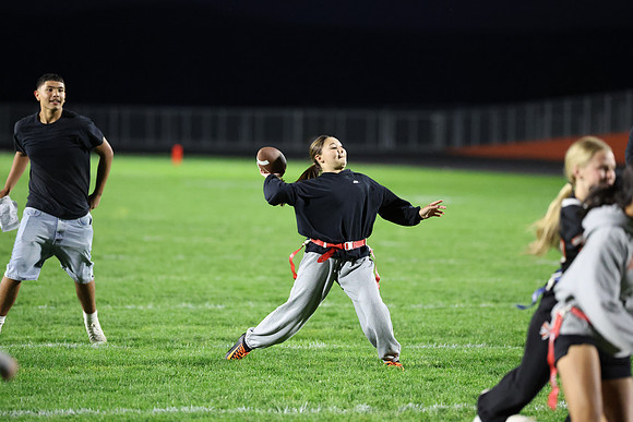 Powderpuff_R3__0100.jpg