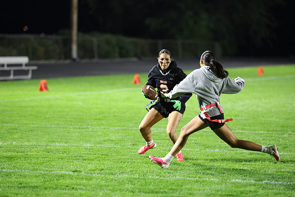 Powderpuff_R3__0217.jpg