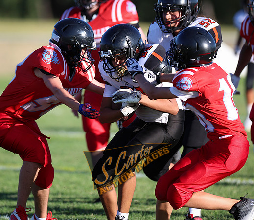 ZMSFB8_WV_R32_1151.jpg