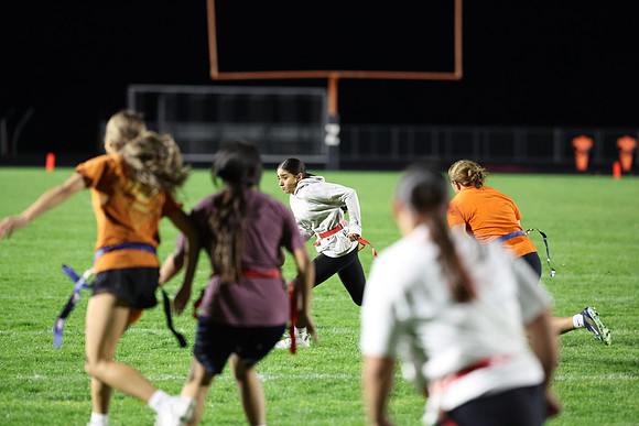 Powderpuff_R3__0710.jpg