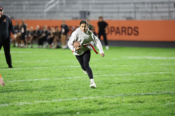 Powderpuff_R3__1239.jpg