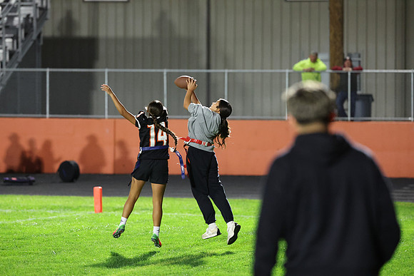Powderpuff_R3__0416.jpg