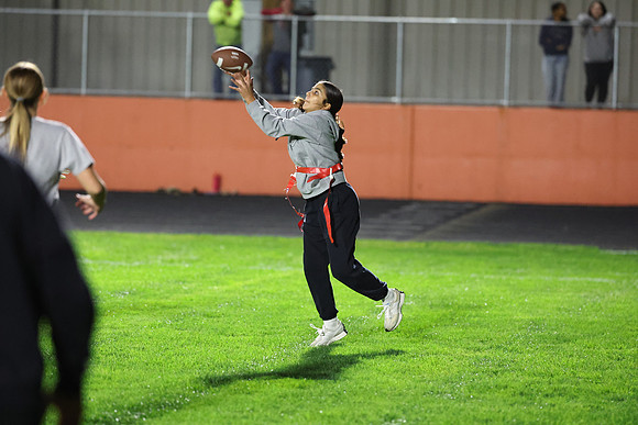 Powderpuff_R3__0106.jpg