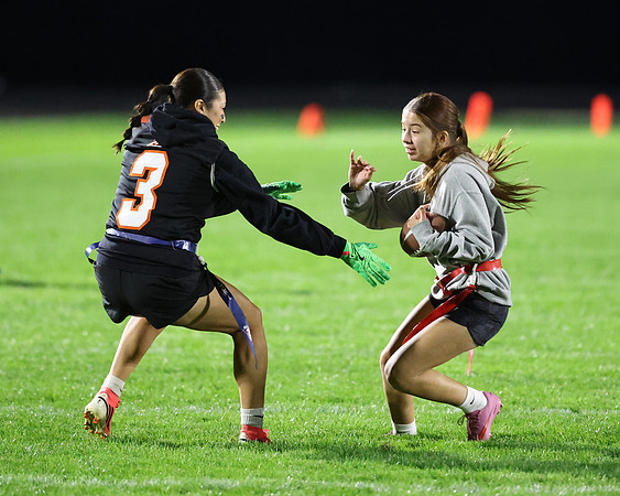 Powderpuff_R3__0037.jpg