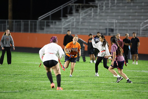 Powderpuff_R3__0871.jpg