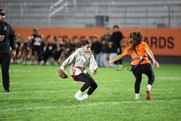 Powderpuff_R3__1219.jpg