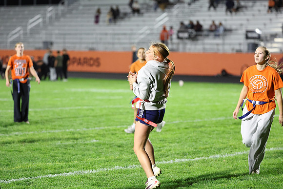 Powderpuff_R3__1112.jpg