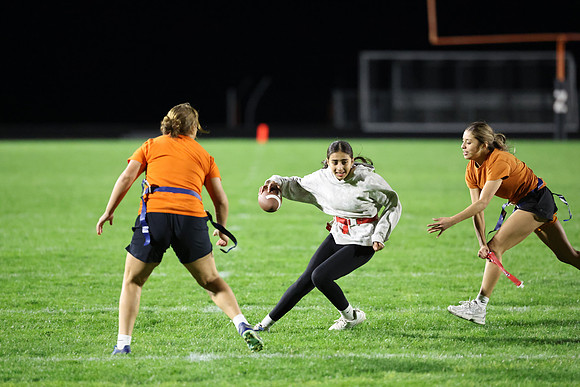 Powderpuff_R3__0645.jpg