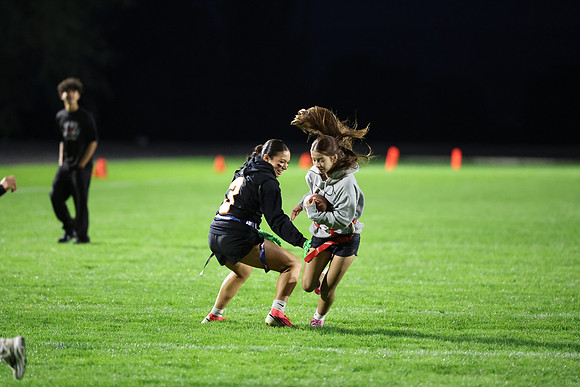 Powderpuff_R3__0041.jpg
