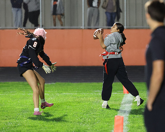 Powderpuff_R3__0138.jpg