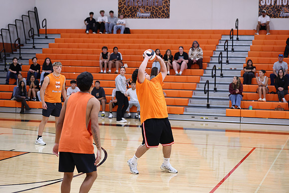 MachoVB_R32_0063.jpg