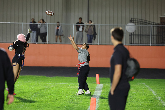 Powderpuff_R3__0134.jpg