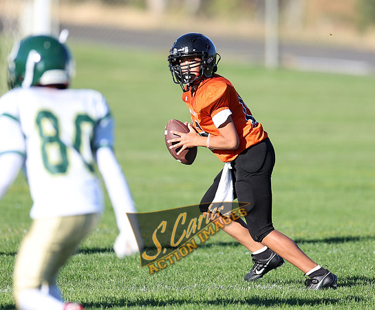 ZMS7FB_SV_R32_0329.jpg