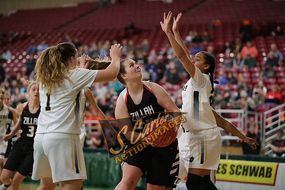 ZHSGVBB_AnnieWright_PIC_0219.jpg