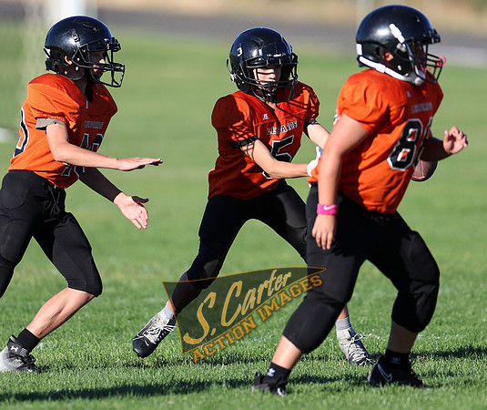 ZMS7FB_SV_R32_0341.jpg