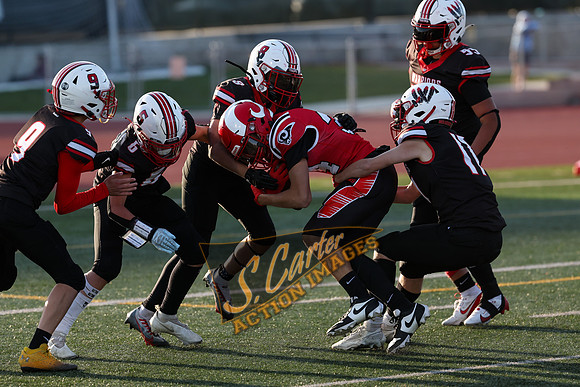YW78_v_Rams_R3__0893.jpg