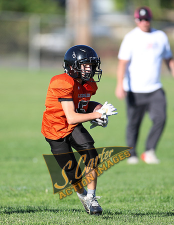 ZMS7FB_SV_R32_0295.jpg