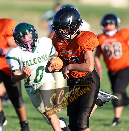 ZMS7FB_SV_R32_0739.jpg