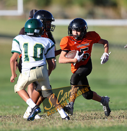 ZMS7FB_SV_R32_0478.jpg